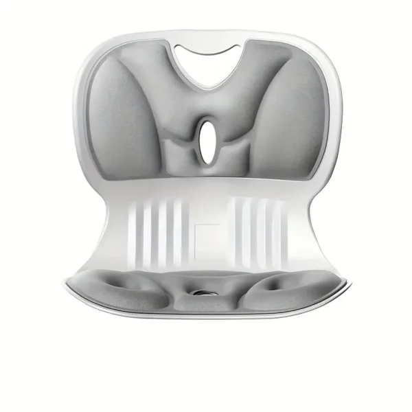 Ergonomic Chair with Lumbar Support